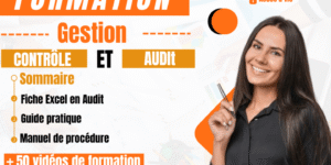 Formation Complète : Contrôle De Gestion Et Audit
