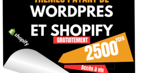 +30.000 Thèmes WordPress & Shopify