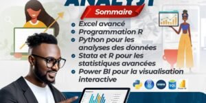 Formation Complète : Data Analyst – Devenez un Data Analyste compétent