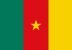 Cameroon national flag icon in the correct aspect ratio. File is built in the CMYK color space for optimal printing, and can easily be converted to RGB without any color shifts.